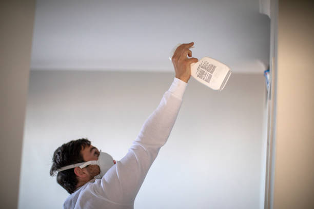 Best Residential Mold Removal  in New Cumberland, WV
